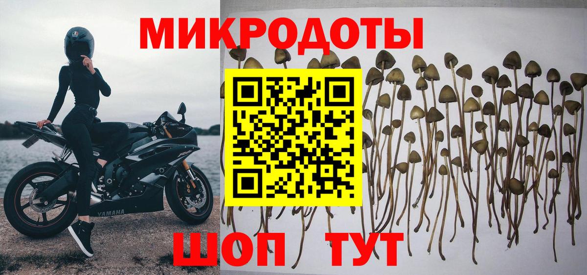 Галлюциногенные грибы Cubensis Кушва
