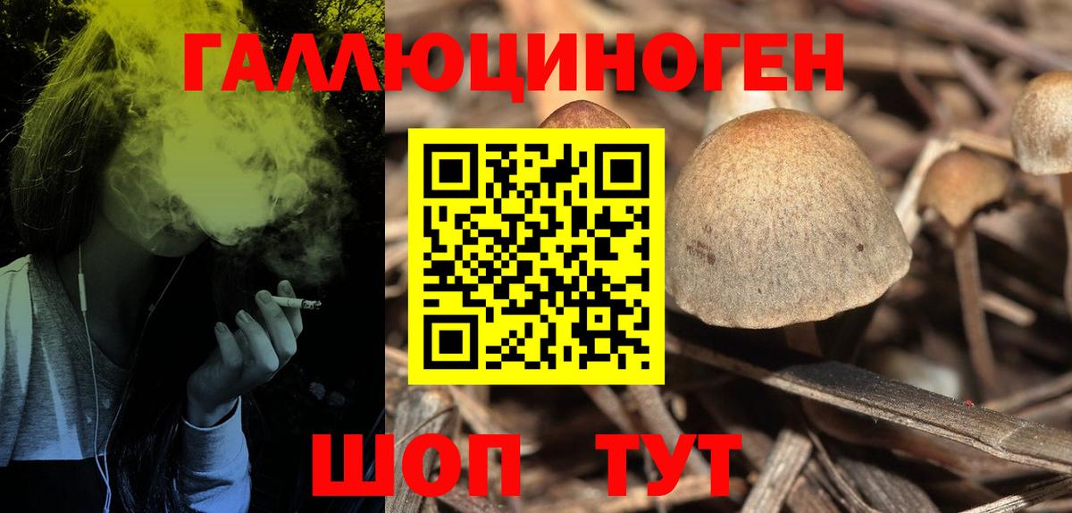 Кушва  Галлюциногенные грибы Psilocybe  Вход с VPN  Псилоцибиновые грибы GOLDEN TEACHER 